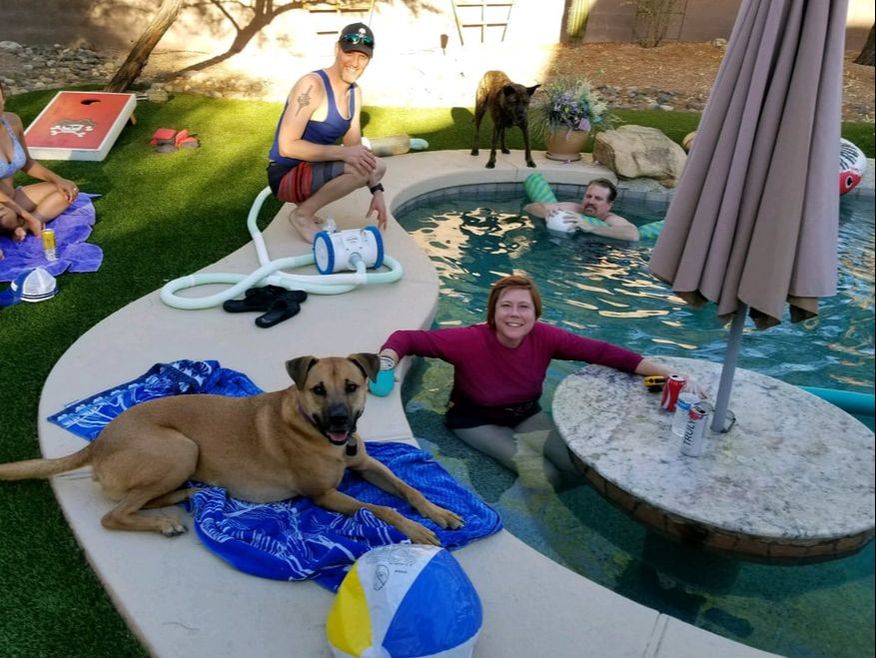 Dog Training for a Black Mouth Cur in Gilbert, Mesa, Phoenix, Scottsdale, Tempe and other East Valley Arizona cities